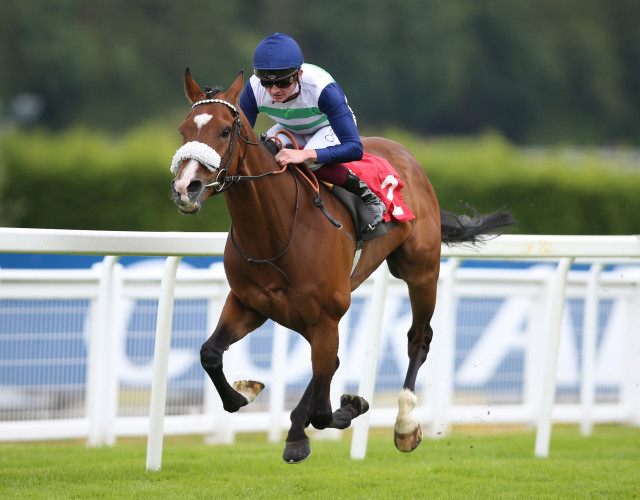 King eager to take the wraps off Trueshan in Doncaster Cup