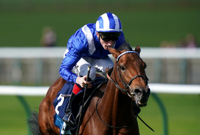 Amichi seals sales race double at Newmarket