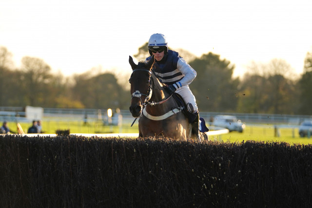 Credrojava shines on Fontwell hurdles bow