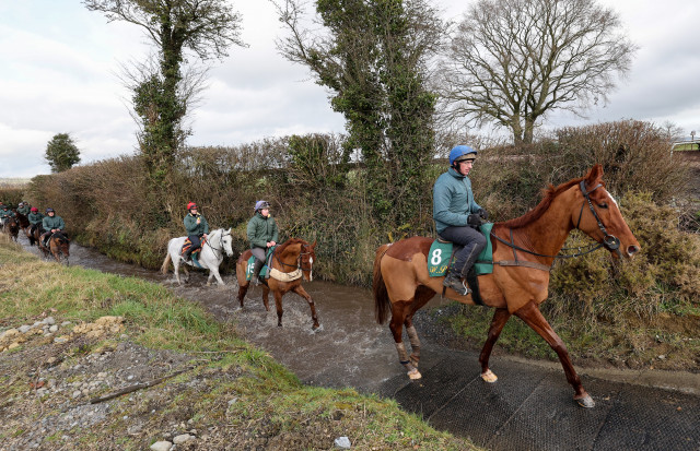 Mullins hoping Cheltenham experience can aid State’s case